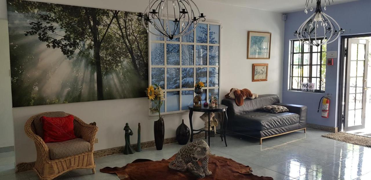 Little Savoy Guest House New Runaway Bay Exteriér fotografie