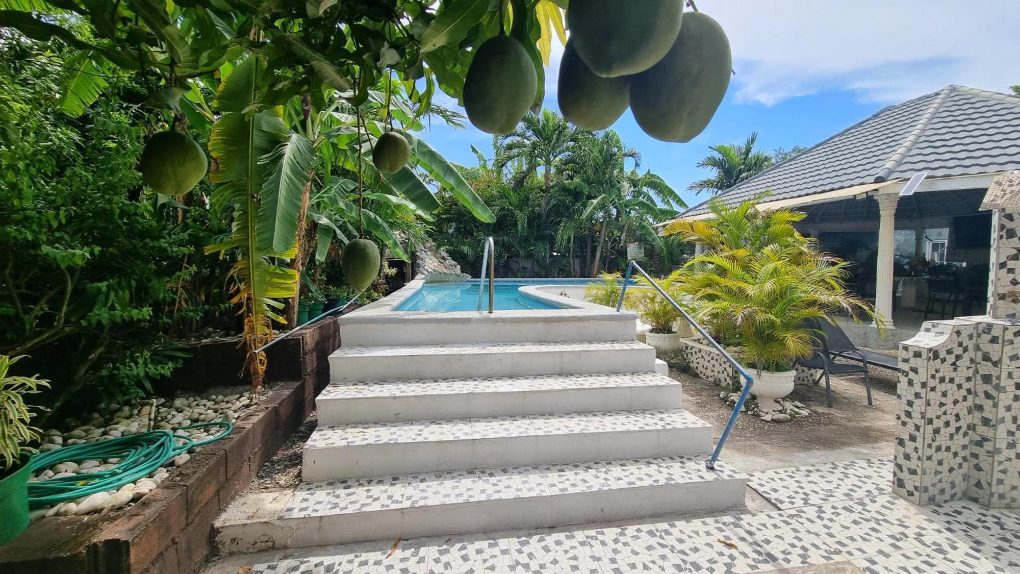 Little Savoy Guest House New Runaway Bay Exteriér fotografie